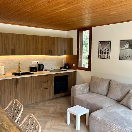 Apartment T3 50 Metres Des Pistes La Salle-les-Alpes