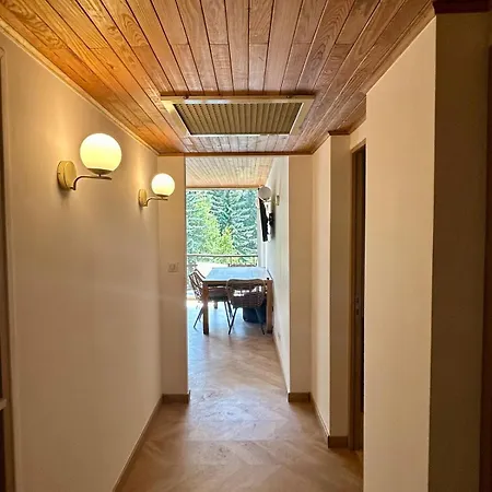 T3 50 Metres Des Pistes * La Salle-les-Alpes